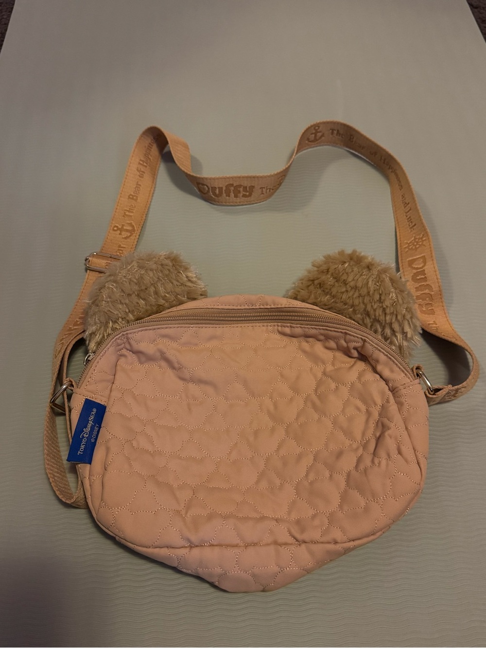 Tokyo Disney Sea TDS limited Duffy bag Mickey ears brown
